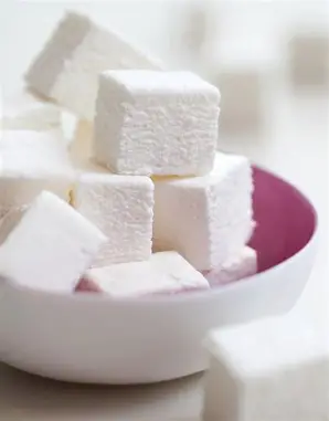 1758431016_OIP (1).webp